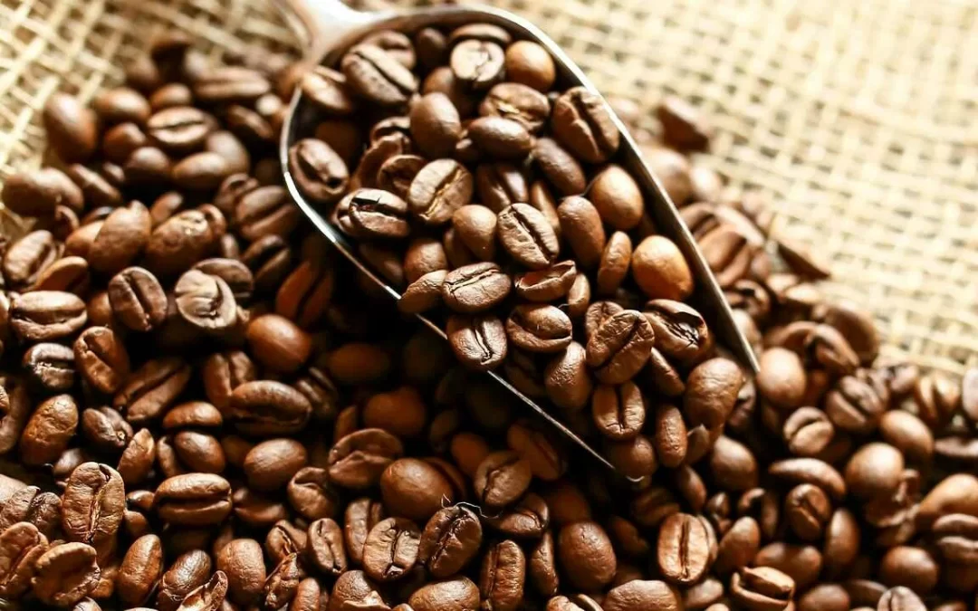 buy coffee beans online
